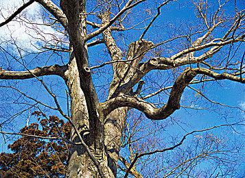 《堡垒之夜》将完美适配switch2 支持鼠标模式与60帧